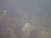 20130706-PICT0011-frame0003.jpg