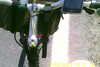 20130706-SUNP0001-frame0003.jpg