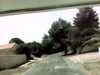 20130709-PICT0100-frame0002.jpg