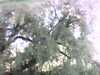 20130710-PICT0105-frame0002.jpg