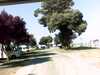 20130710-PICT0106-frame0002.jpg