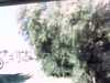 20130710-PICT0111-frame0001.jpg