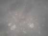 20130711-PICT0048-frame0001.jpg