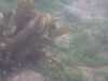 20130713-PICT0008-frame0003.jpg