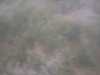 20130713-PICT0008-frame0004.jpg