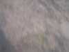 20130713-PICT0008-frame0005.jpg