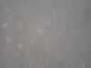20130714-PICT0009-frame0001.jpg