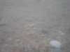 20130714-PICT0016-frame0002.jpg