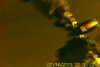 20130714-SUNP0003-frame0001.jpg