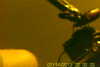 20130714-SUNP0003-frame0003.jpg
