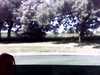20130715-PICT0243-frame0002.jpg