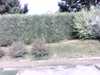 20130716-PICT0367-frame0002.jpg