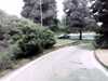 20130716-PICT0443-frame0002.jpg