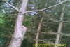 2013-07-27:Northern Skirmish
