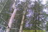 20130727-SUNP0001-frame0002.jpg