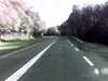 20131005-PICT0303-frame0002.jpg
