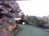 20131005-PICT0372-frame0002.jpg