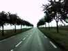 20131006-PICT0410-frame0001.jpg