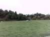 20131006-PICT0461-frame0002.jpg