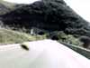 20131007-PICT0555-frame0001.jpg