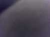 20131007-PICT0623-frame0001.jpg