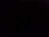 20131007-PICT0633-frame0002.jpg