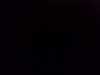 20131007-PICT0634-frame0001.jpg