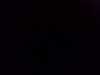 20131007-PICT0634-frame0002.jpg