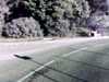 20131010-PICT0094-frame0001.jpg