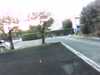 20131010-PICT0109-frame0002.jpg