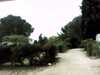 20131014-PICT0003-frame0002.jpg