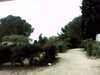 20131014-PICT0004-frame0001.jpg
