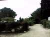 20131014-PICT0004-frame0002.jpg