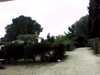 20131014-PICT0006-frame0001.jpg