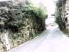 20131014-PICT0059-frame0001.jpg