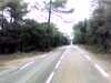 20131014-PICT0074-frame0001.jpg