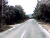 20131014-PICT0079-frame0002.jpg