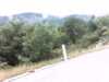 20131015-PICT0026-frame0002.jpg