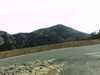 20131015-PICT0038-frame0001.jpg