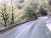 20131015-PICT0099-frame0001.jpg