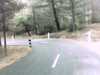 20131015-PICT0125-frame0001.jpg