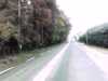 20131016-PICT0120-frame0002.jpg