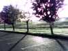 20131017-PICT0199-frame0001.jpg
