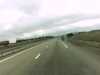 20131018-PICT0282-frame0001.jpg