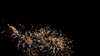 2013-11-02:Cat home Chislehurst Fireworks
