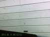 20131106-PICT0058-frame0001.jpg