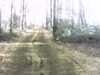 20131208-PICT0294-frame0001.jpg
