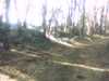 20131208-PICT0295-frame0001.jpg