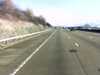 20131208-PICT0345-frame0001.jpg