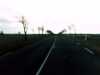 20140208-PICT0418-frame0002.jpg
